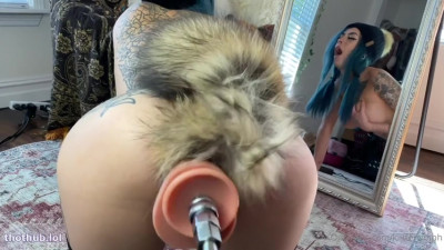kitten nymph