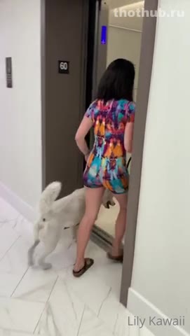 OnlyFans leaked Lily Kawai 296 videos 20 GB (Video 4) on HDthot